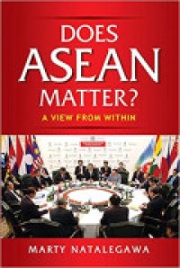 Does ASEAN Matter? : A View from Within